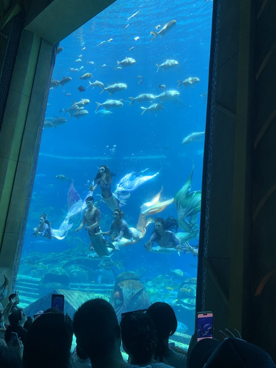 亚特兰蒂斯水族馆·亚特兰蒂斯水族馆003.jpg